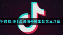 平時(shí)都用什么微信號(hào)梗出處含義介紹