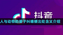 人與動物的量子糾纏梗出處含義介紹