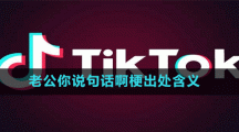 老公你說句話啊梗出處含義