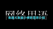 魚(yú)越大魚(yú)越小梗的意思介紹