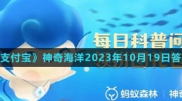 《支付寶》神奇海洋2023年10月19日答案