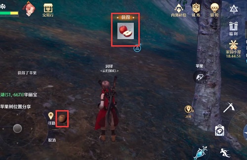 《諾亞之心》蘋果樹位置分享