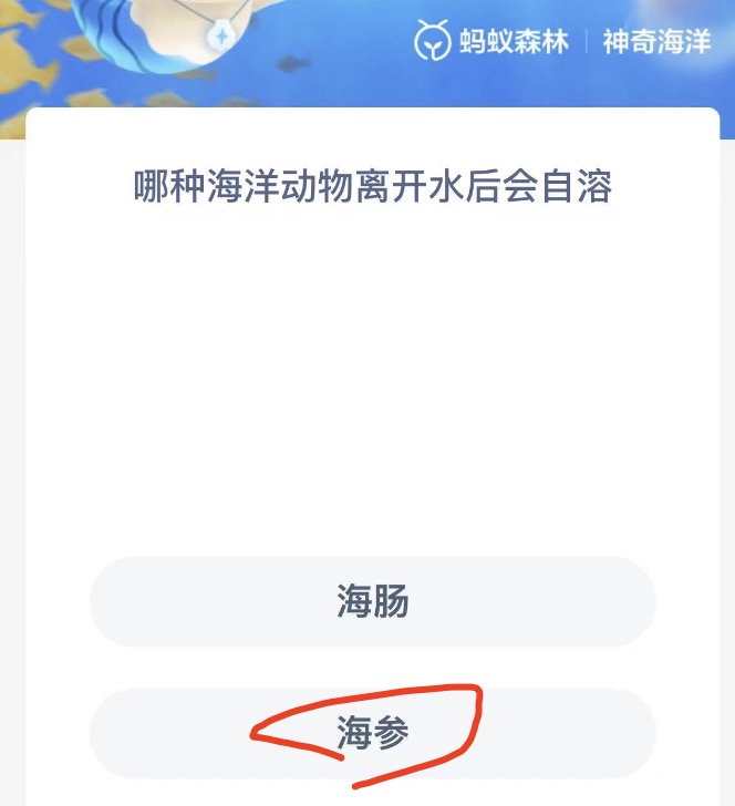 《支付寶》神奇海洋11月1日答案分享