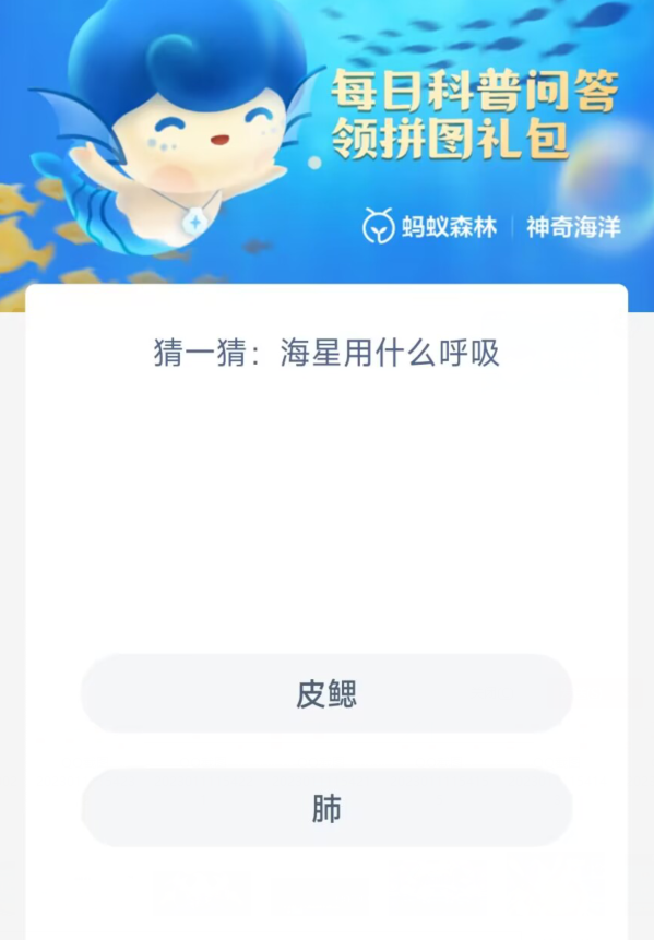 《支付寶》神奇海洋1月12日答案分享