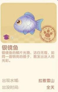 《摩爾莊園》銀鏡魚位置介紹